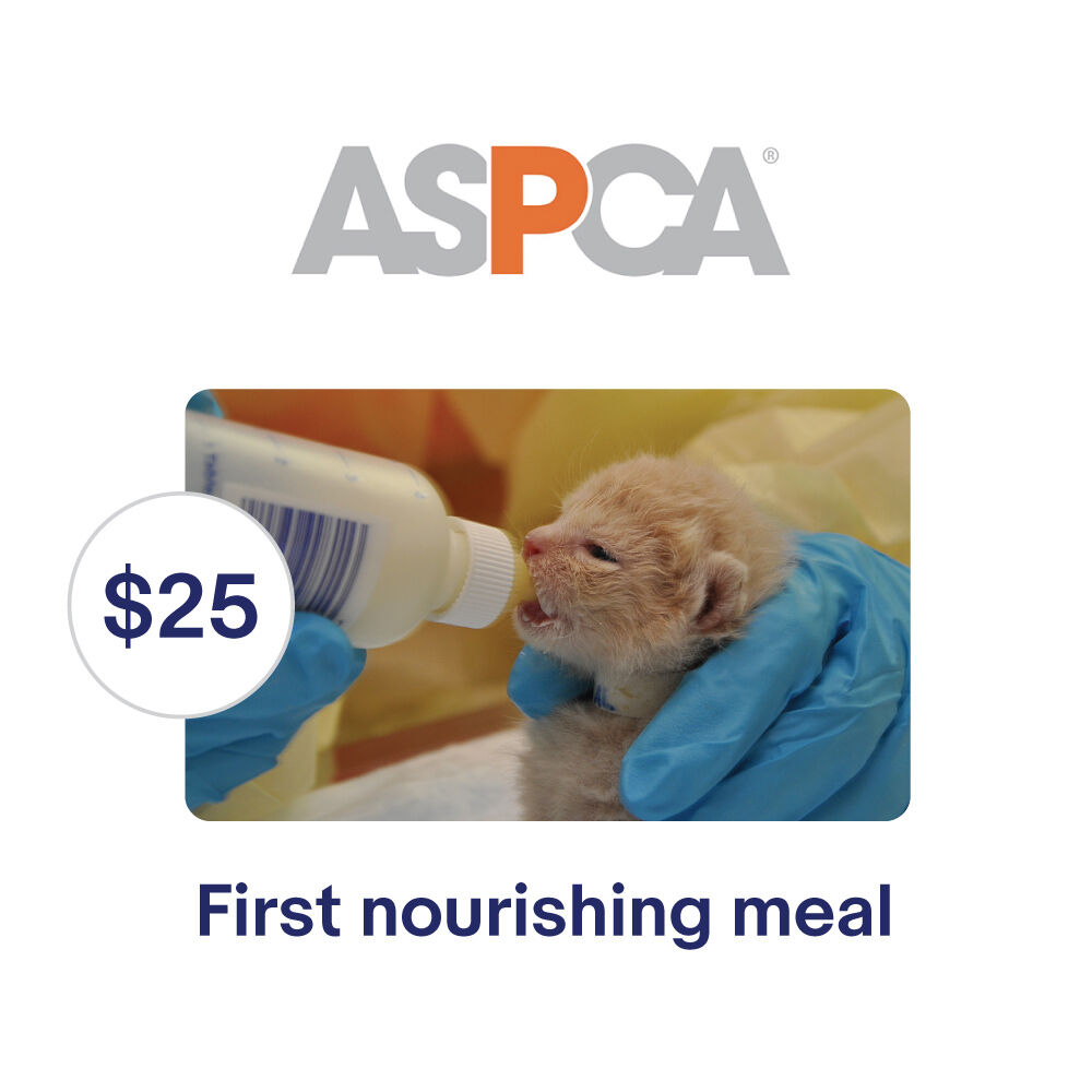 Aspca $25 Their First Nourishing Meal Symbolic Charitable Donation
